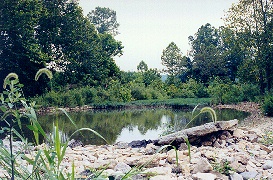 Bullitt Hill Road - Henry county Web