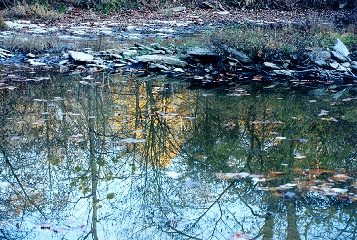 Henry County CROWE Farm