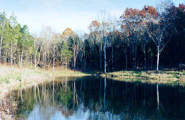 Henry County CROWE-CHASE
