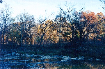 Henry County CROWE Farm