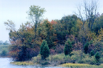 Henry County Web - Lake Jericho