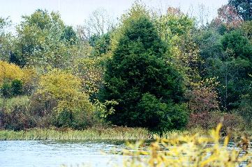 Henry County Web - Lake Jericho