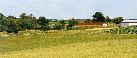 Henry County Web Kentucky Photos